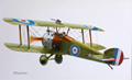 Aircraft Paintings 21