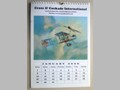Aircraft Paintings 1