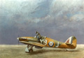 Aircraft Paintings 21