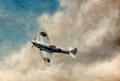 Aircraft Paintings 21