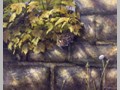 Cat Paintings 41