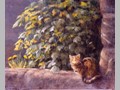 Cat Paintings 43