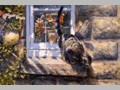 Cat Paintings 45