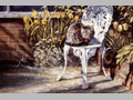 Cat Paintings 52