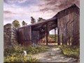Cat Paintings 54
