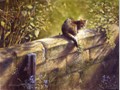 Cat Paintings 60