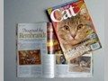 Cat Paintings 68
