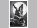Cat Paintings 72