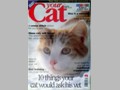Cat Paintings 74