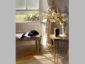 Cat Paintings 78