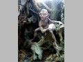 Tolkien's Gollum 11