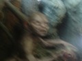 Tolkien's Gollum 23