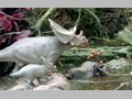 The Mummy and Dinosaurs 16