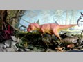 The Mummy and Dinosaurs 17