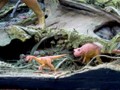 The Mummy and Dinosaurs 25