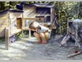 portraits_and_studies-28