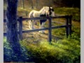 portraits_and_studies-26