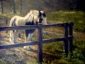portraits_and_studies-27